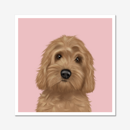 Cockapoo - Art Print