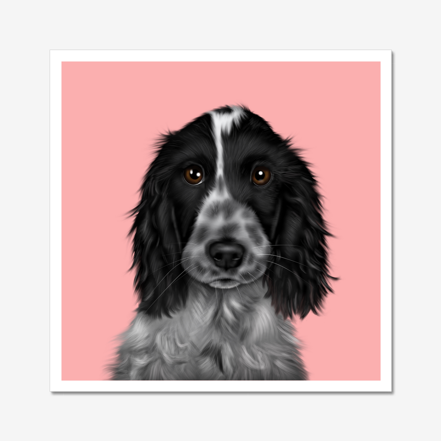 Blue Roan Cocker Spaniel - Art Print