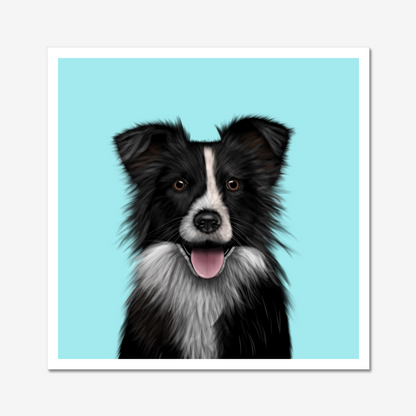 Border Collie Art Print