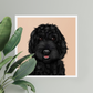 Black Cockapoo Digital Download