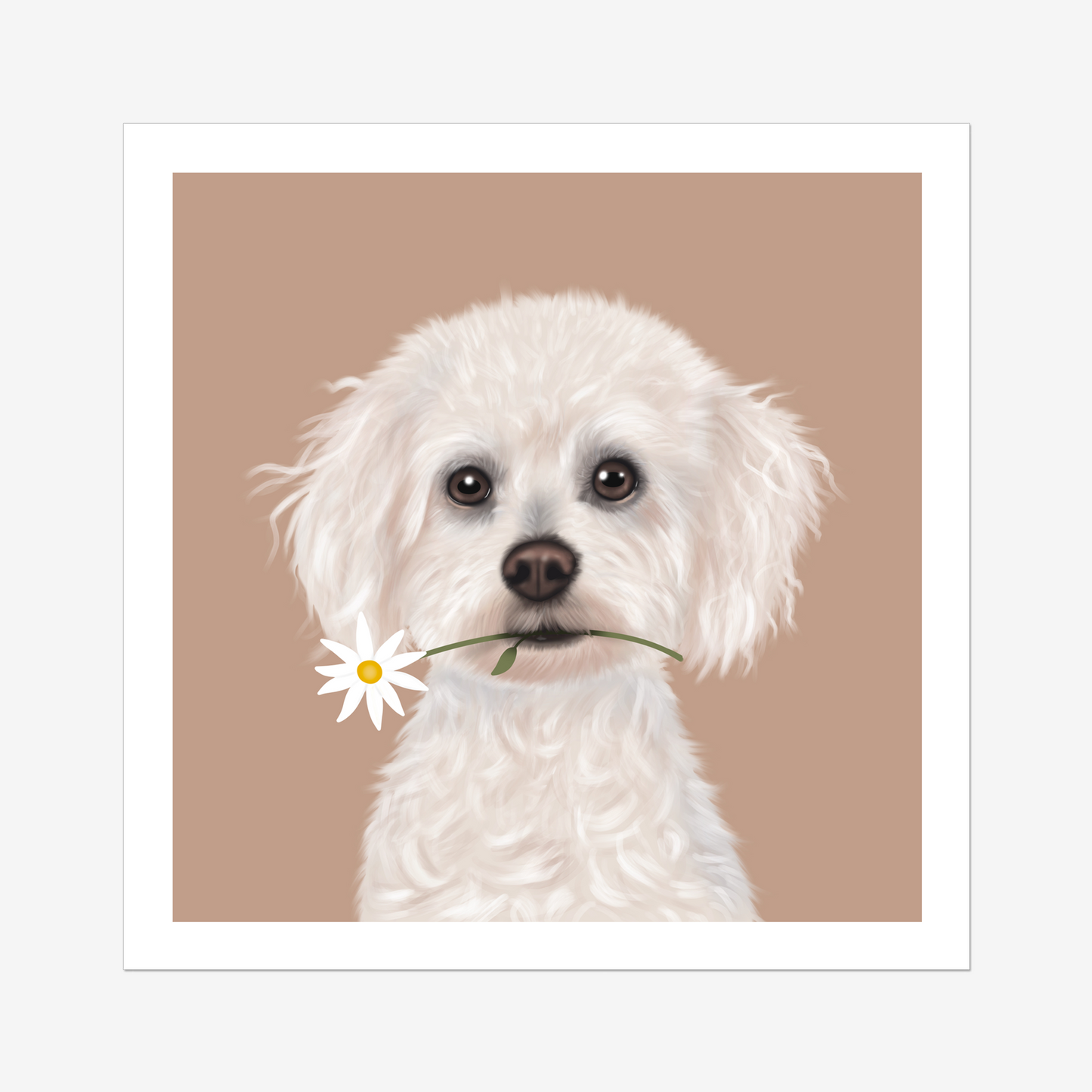 Bichon Frise Digital Download