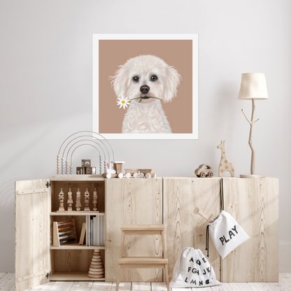 Bichon Frise Digital Download