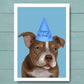 Birthday card featuring Micro Bully in Blue party hat