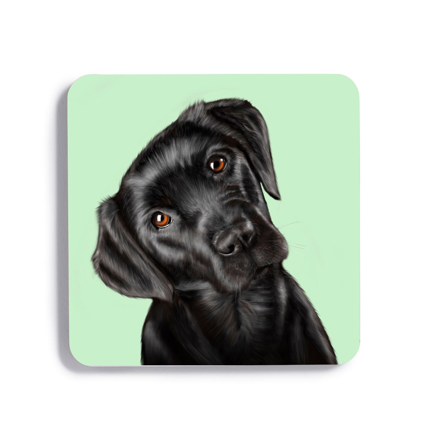 Black Labrador Drinks Coaster