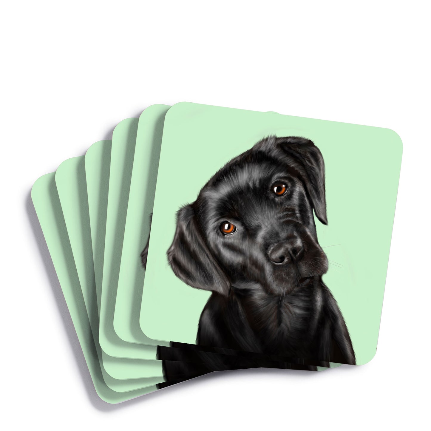 Black Labrador Drinks Coaster