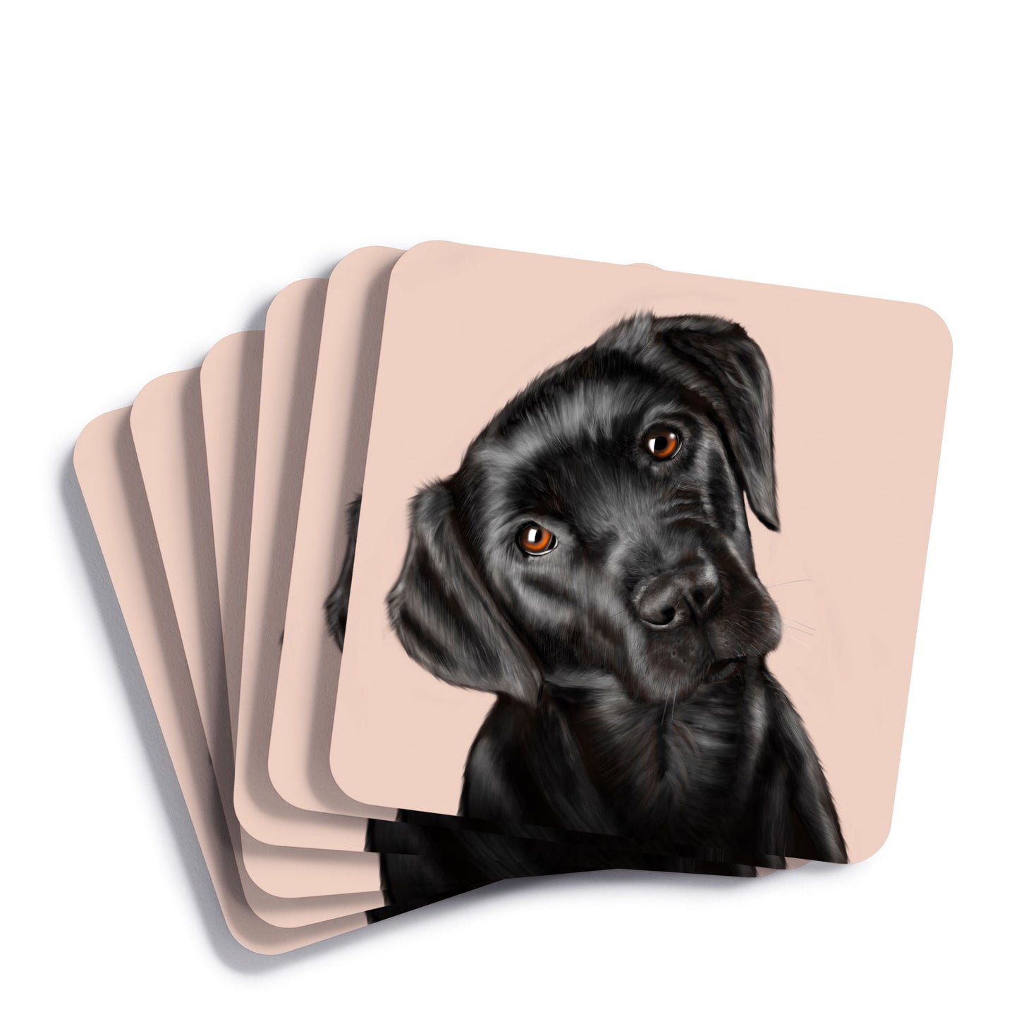 Black Labrador Drinks Coaster