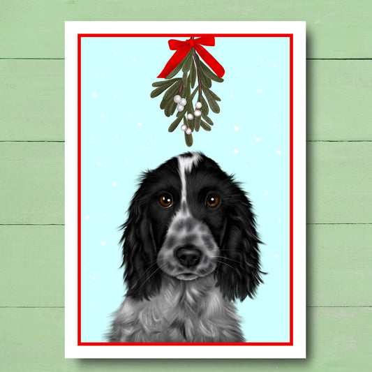 Blue Roan Cocker Spaniel under Mistletoe