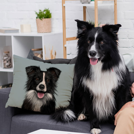 Border Collie Portrait Cushion