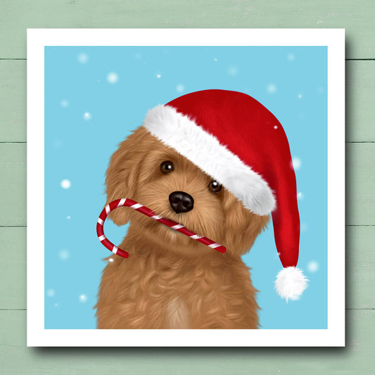 Cavapoo in Santa Hat