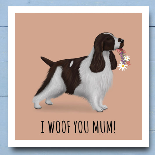 Chocolate and White Cocker Spaniel "I Woof You mum" Card