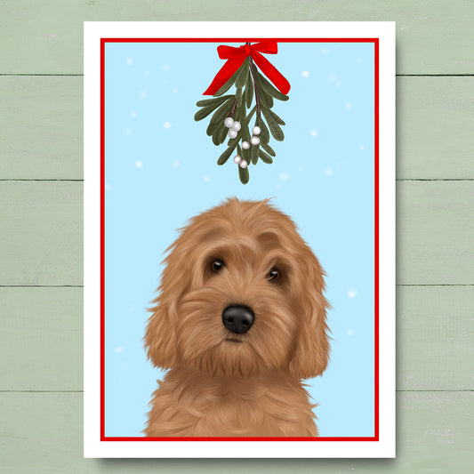 Cockapoo under Mistletoe