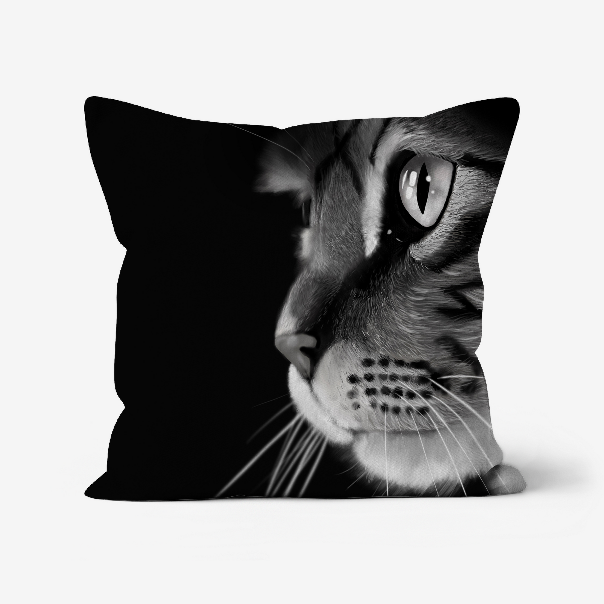 Stunningly detailed Cat portrait in Black and White on a cushion