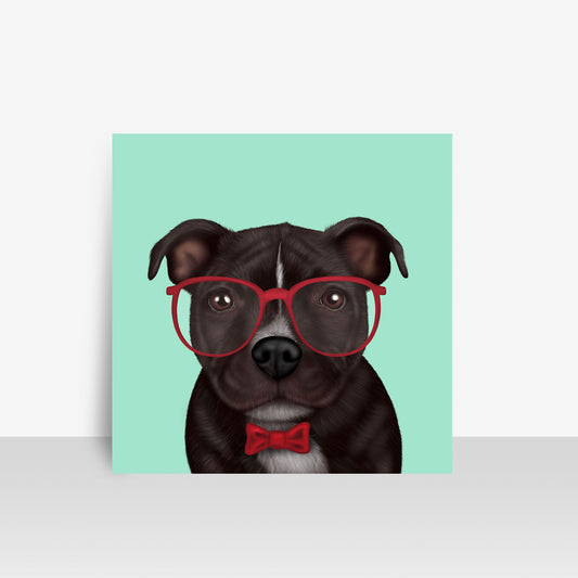 Staffordshire Bull Terrier in Glasses and Bow Tie