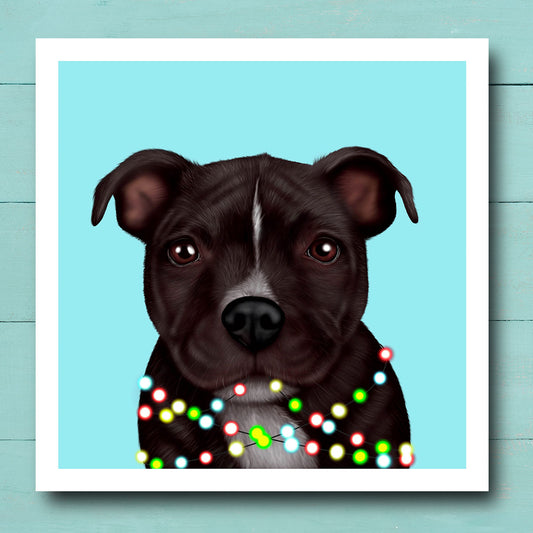 Staffordshire Bull Terrier Wrapped in Lights