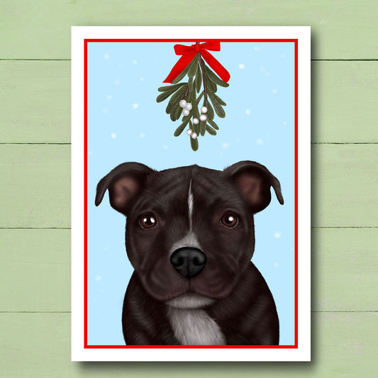 Staffordshire Bull Terrier under Mistletoe