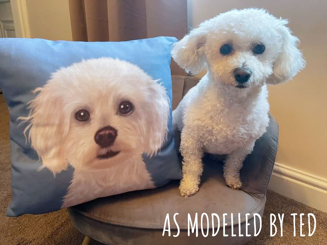 Bichon Frise Cushion