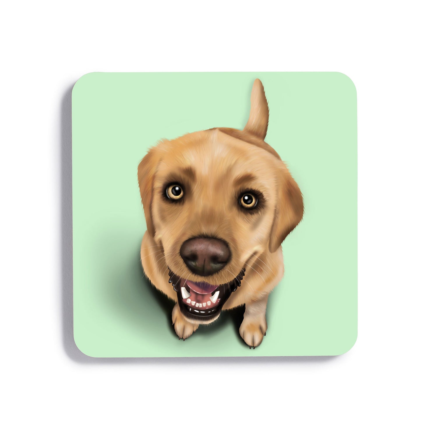 Yellow Labrador Drinks Coaster