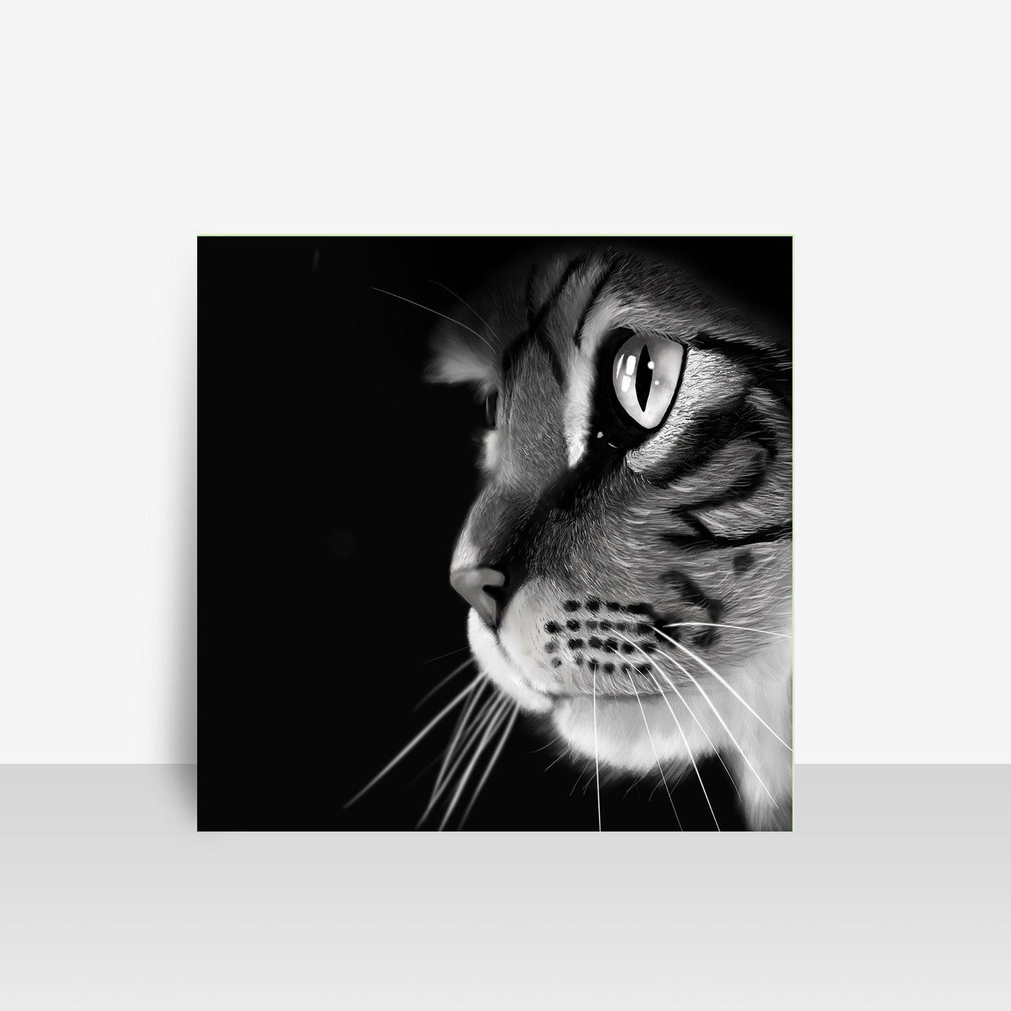 Black and White Cat Art Board