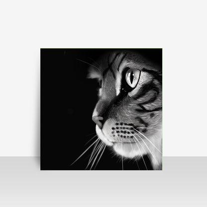 Black and White Cat Art Board