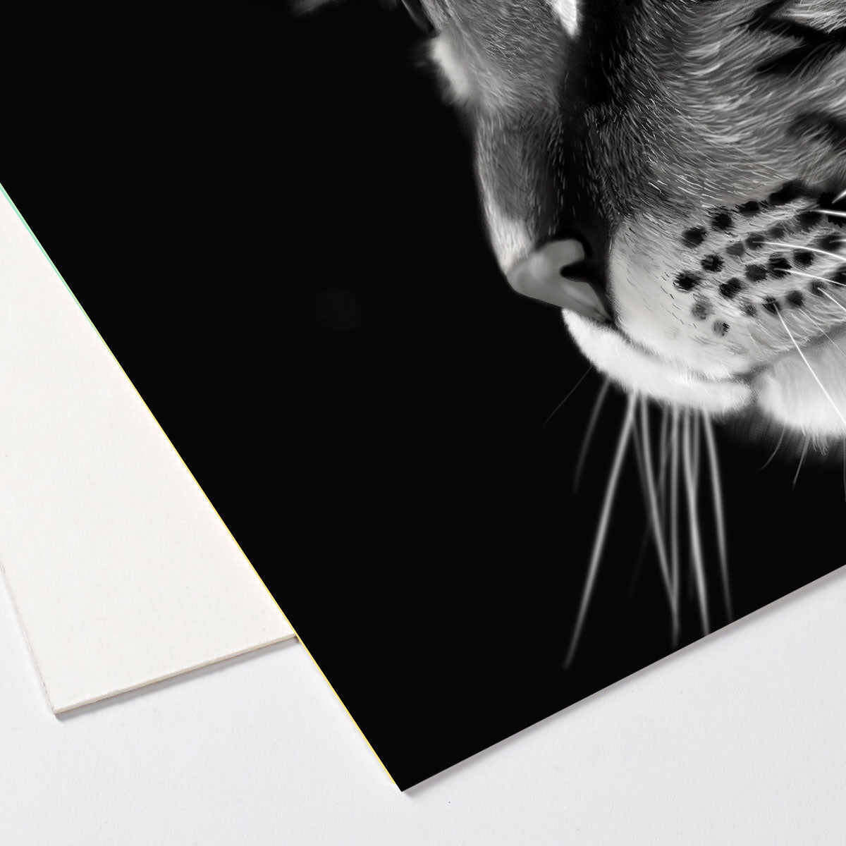 Black and White Cat Art Board