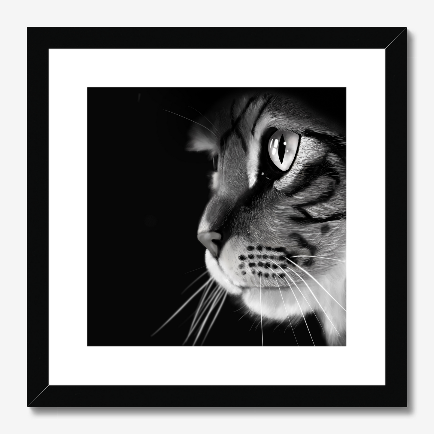 Black and White Cat portrait by Oundle, Peterborough Artist Kitty's Art