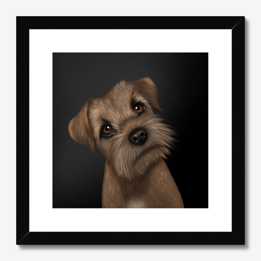 Border Terrier Framed Print