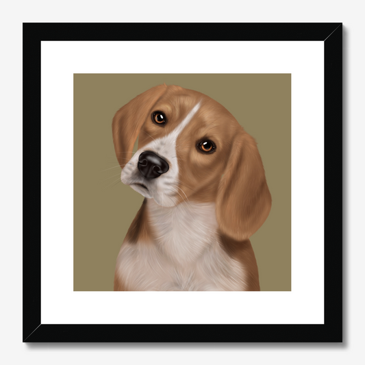 Beagle Framed Print