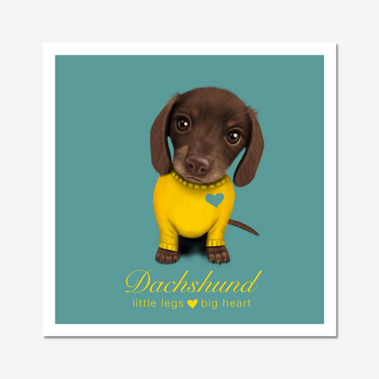 Illustrated Dachshund Puppy with slogan "Little Legs, Big Heart"