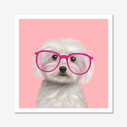 Maltese in Glasses Art Print