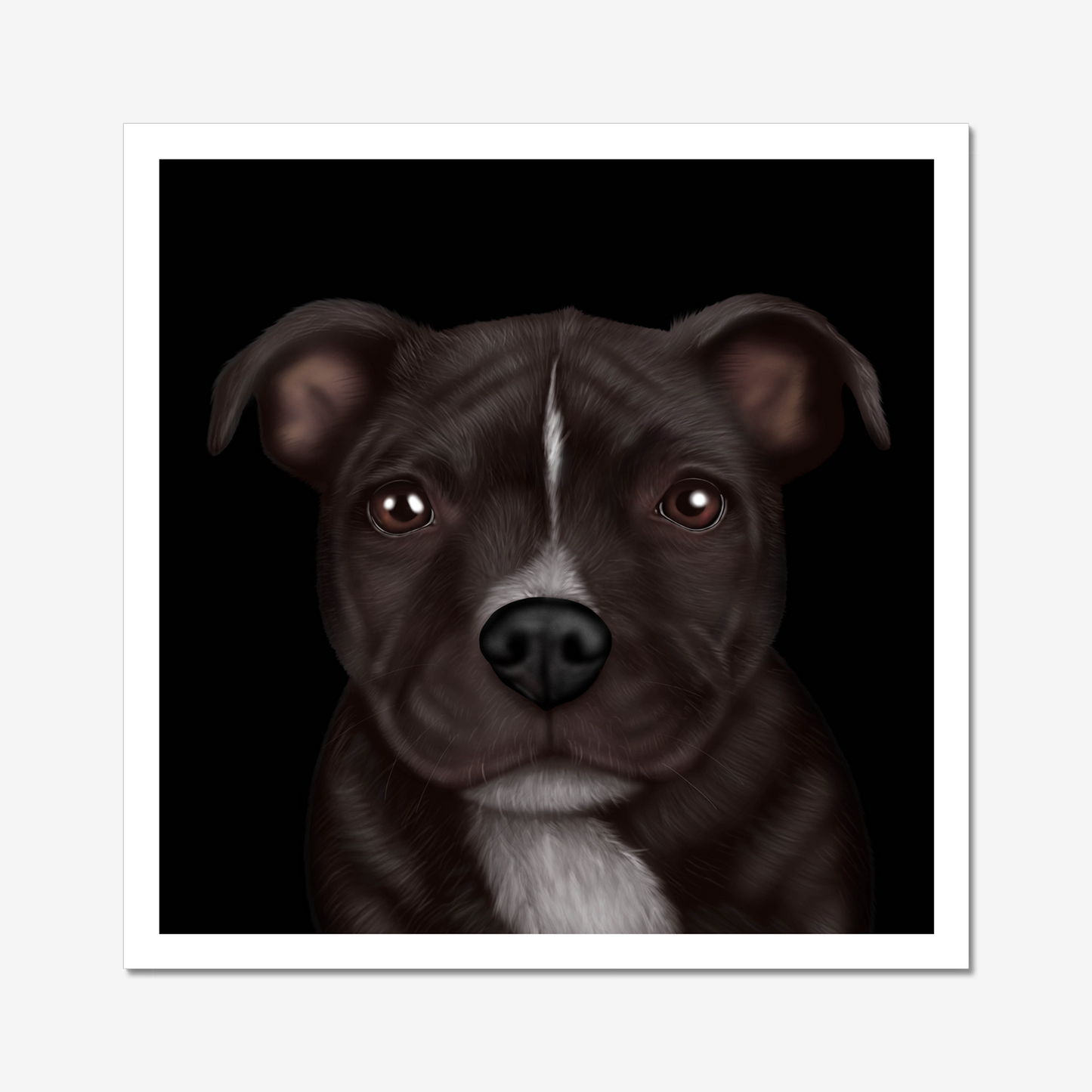 Staffordshire Bull Terrier - Art Print