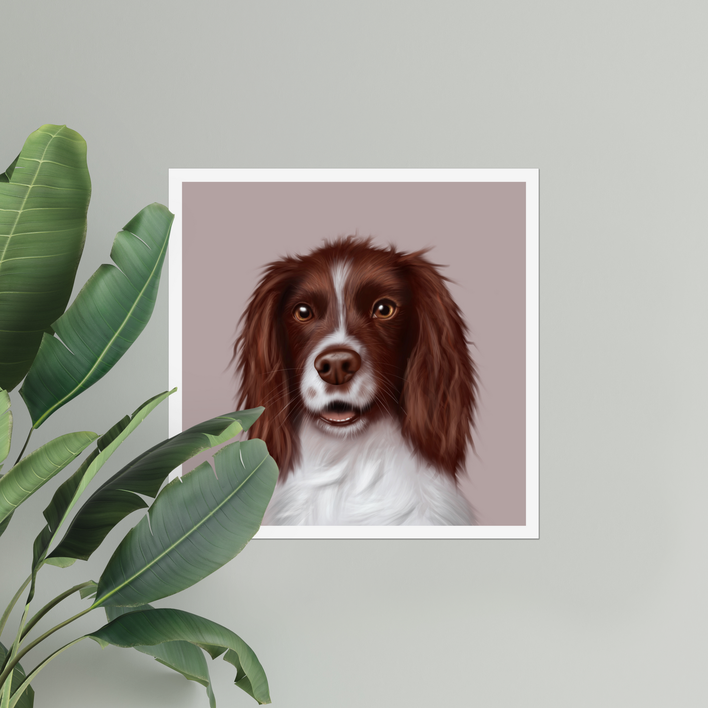 Springer Spaniel - Art Print